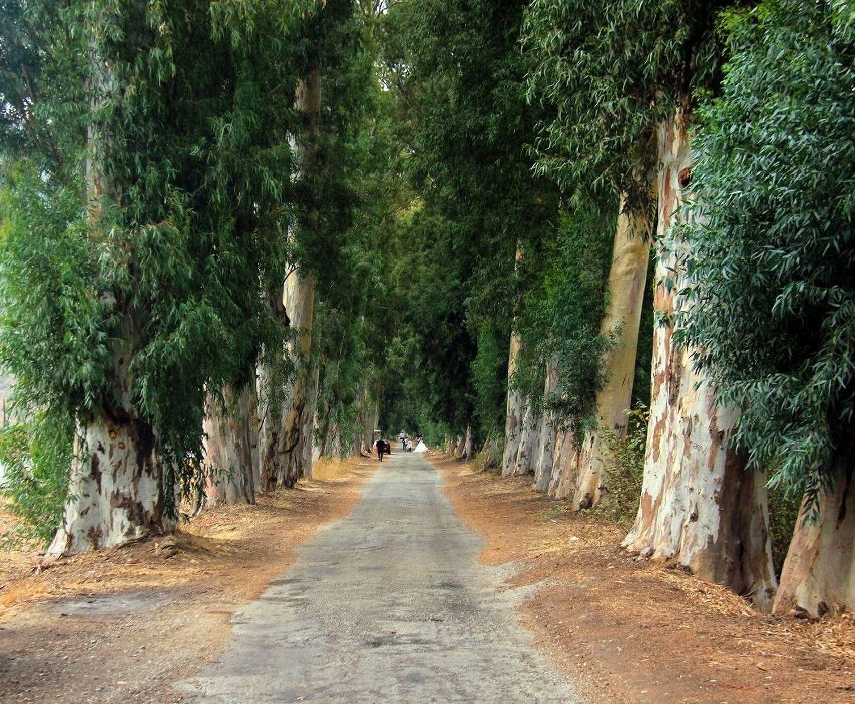  YENİ ROTA GÜNEY EGE TURU