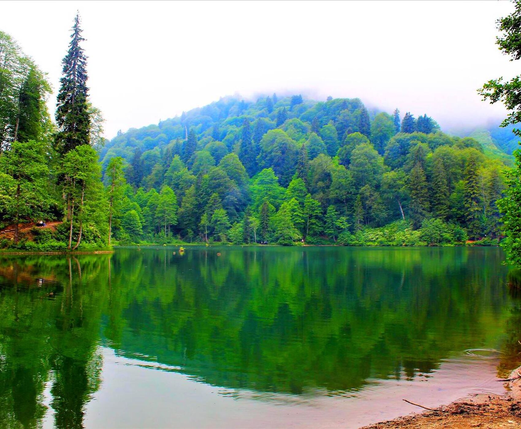 OTOBÜSLÜ DOĞU KARADENİZ TURU