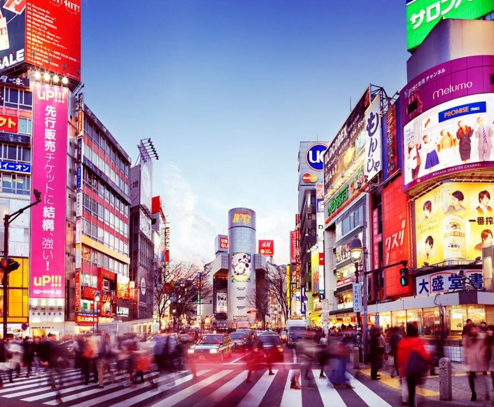 JAPONYA KORE TURU  - QATAR HAVAYOLLARI 